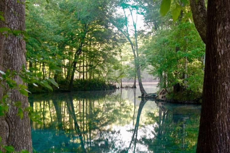 Washington Oaks State Park